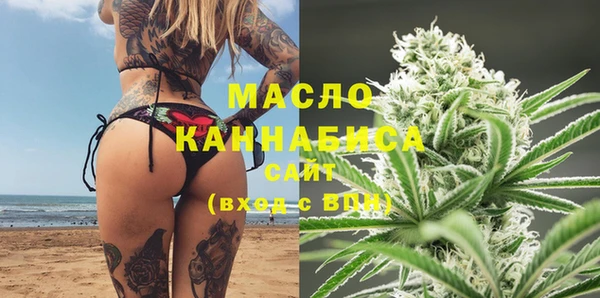 спиды Богородицк