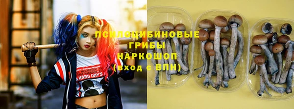 mdpv Беломорск