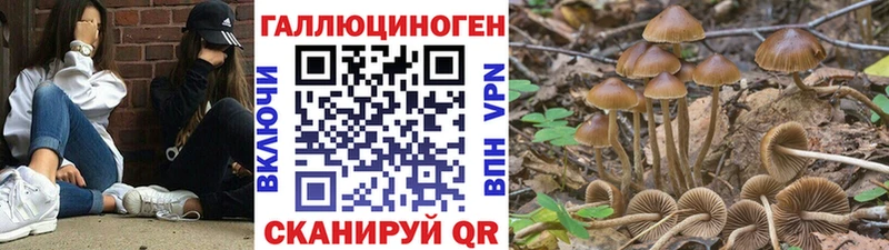 Галлюциногенные грибы мицелий kraken зеркало Белоозёрский